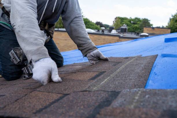 Best Residential Roofing Contractor  in Grosse Pointe, MI