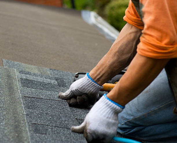 Best Roofing Contractor Near Me  in Grosse Pointe, MI