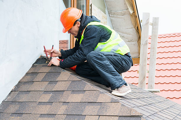Best Roof Restoration Services  in Grosse Pointe, MI